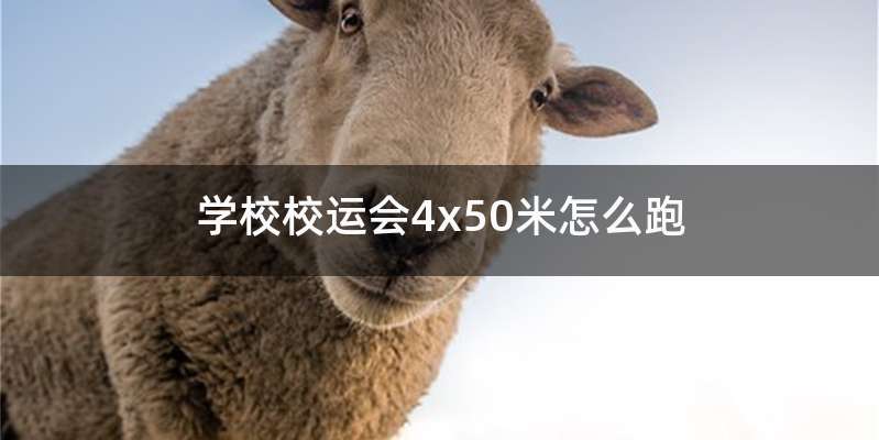 学校校运会4x50米怎么跑