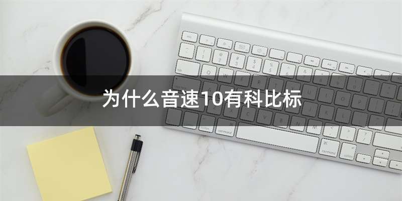 为什么音速10有科比标