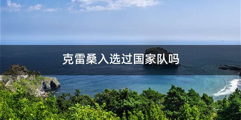 克雷桑入选过国家队吗