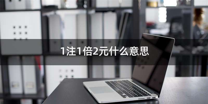 1注1倍2元什么意思