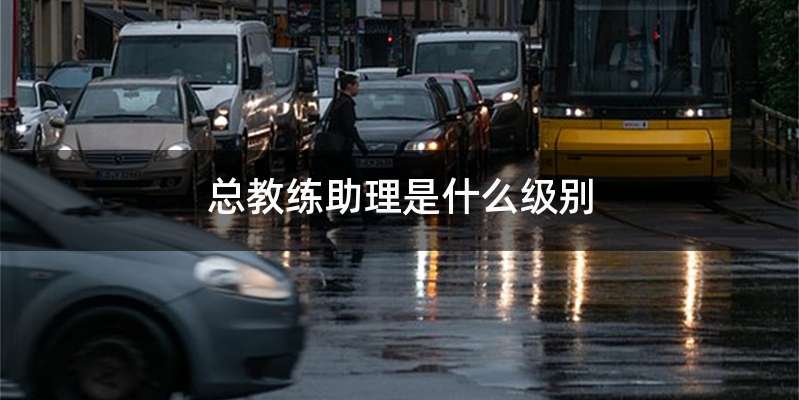 总教练助理是什么级别