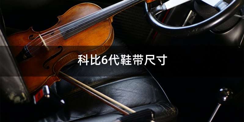 科比6代鞋带尺寸