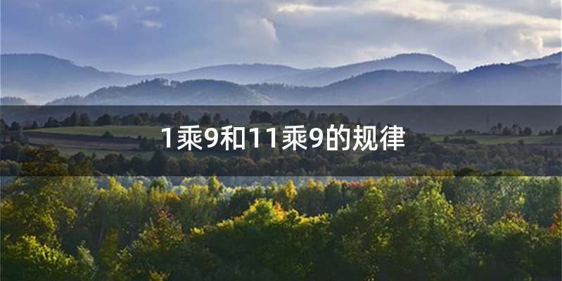 1乘9和11乘9的规律