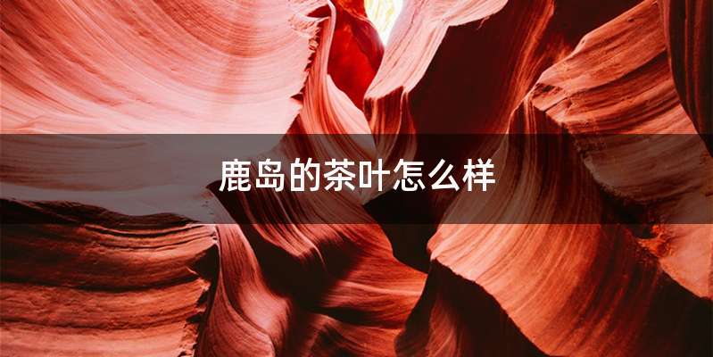 鹿岛的茶叶怎么样