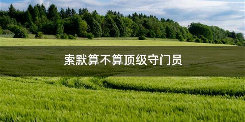 索默算不算顶级守门员