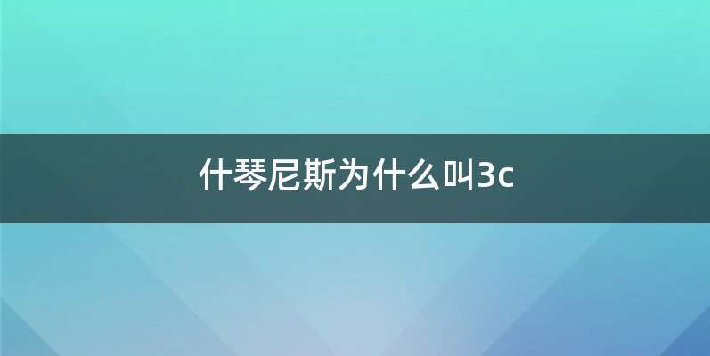 什琴尼斯为什么叫3c