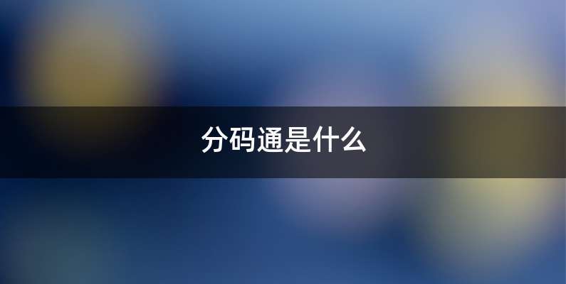 分码通是什么