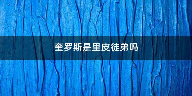 奎罗斯是里皮徒弟吗