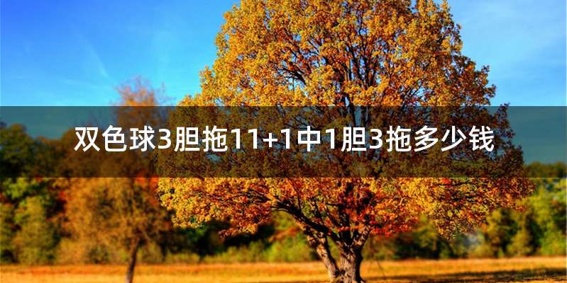 双色球3胆拖11+1中1胆3拖多少钱