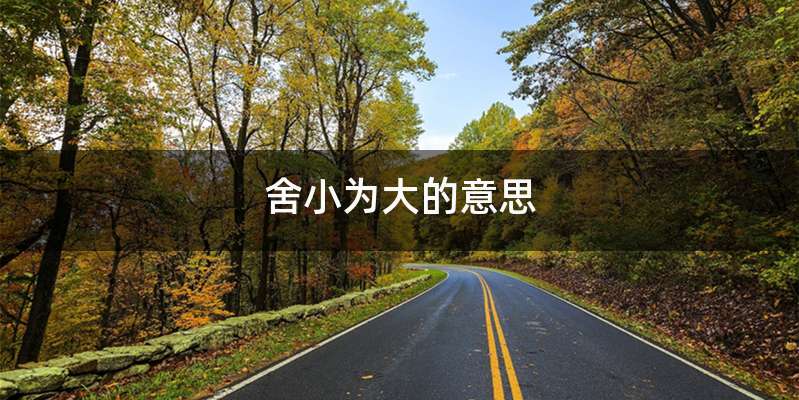 舍小为大的意思
