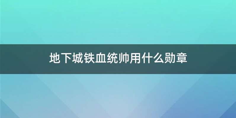地下城铁血统帅用什么勋章
