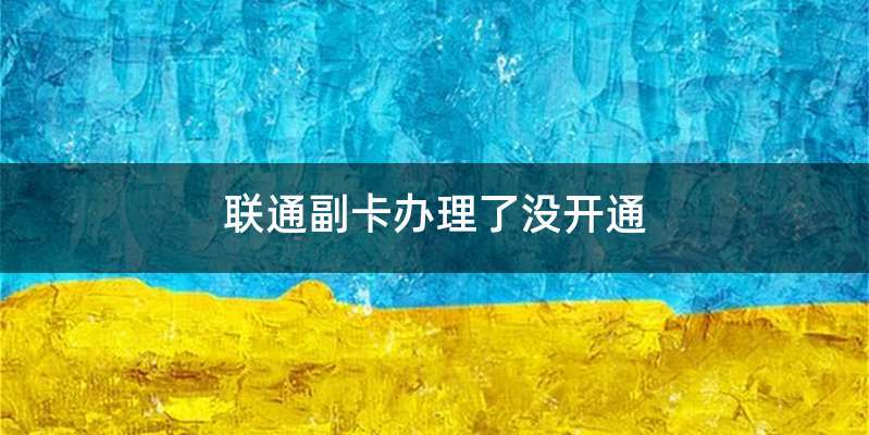 联通副卡办理了没开通