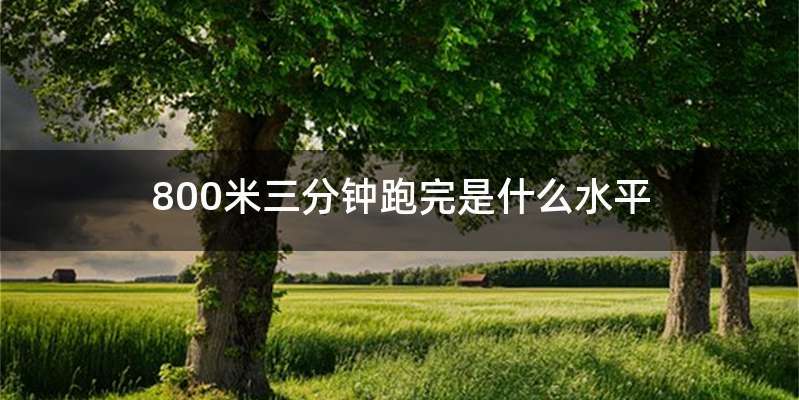 800米三分钟跑完是什么水平