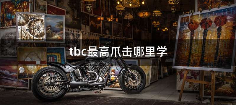 tbc最高爪击哪里学