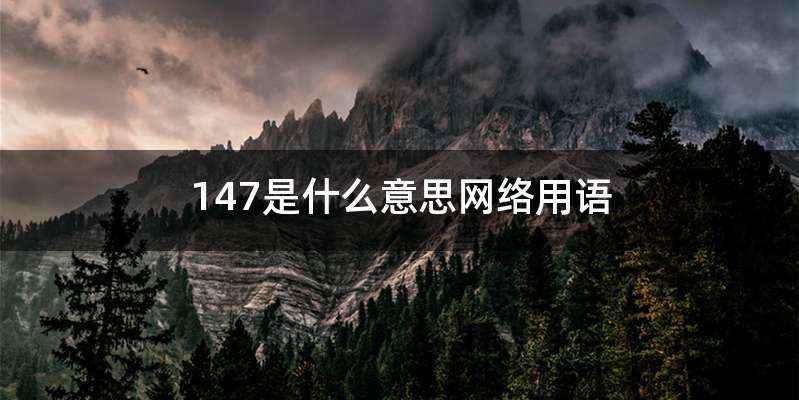 147是什么意思网络用语