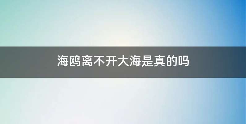 海鸥离不开大海是真的吗