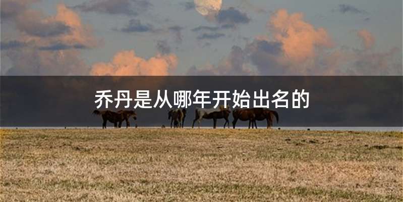 乔丹是从哪年开始出名的