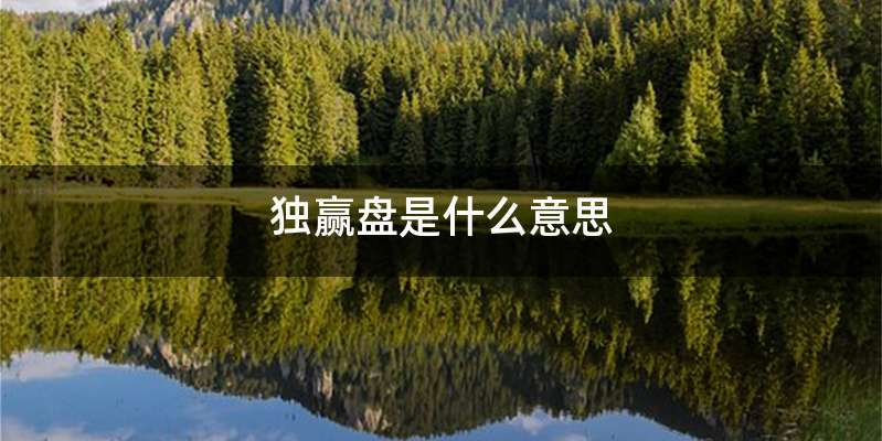 独赢盘是什么意思