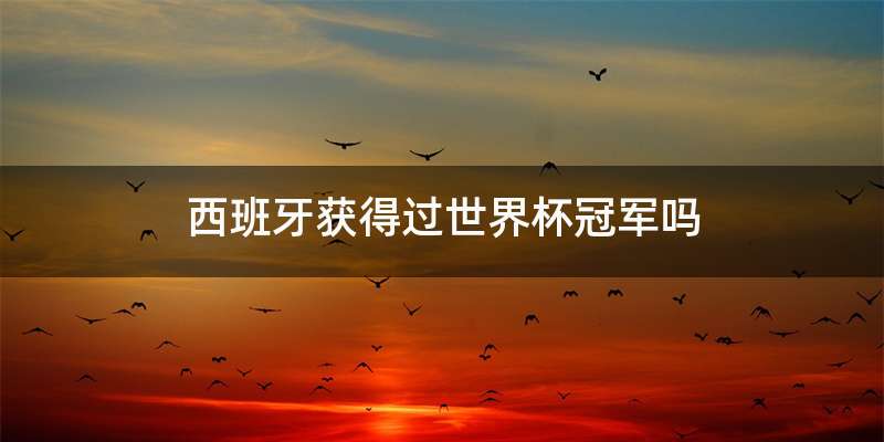 西班牙获得过世界杯冠军吗