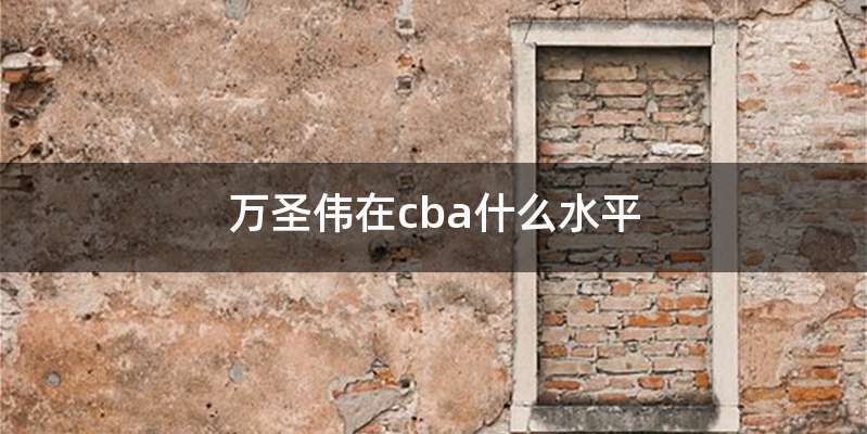 万圣伟在cba什么水平