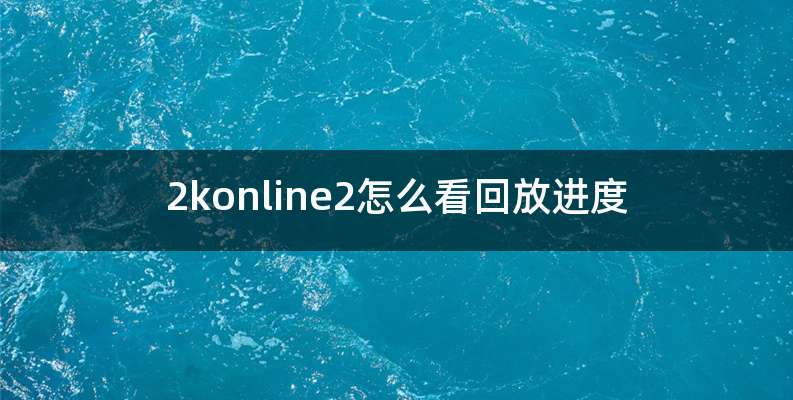 2konline2怎么看回放进度