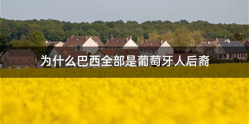 为什么巴西全部是葡萄牙人后裔