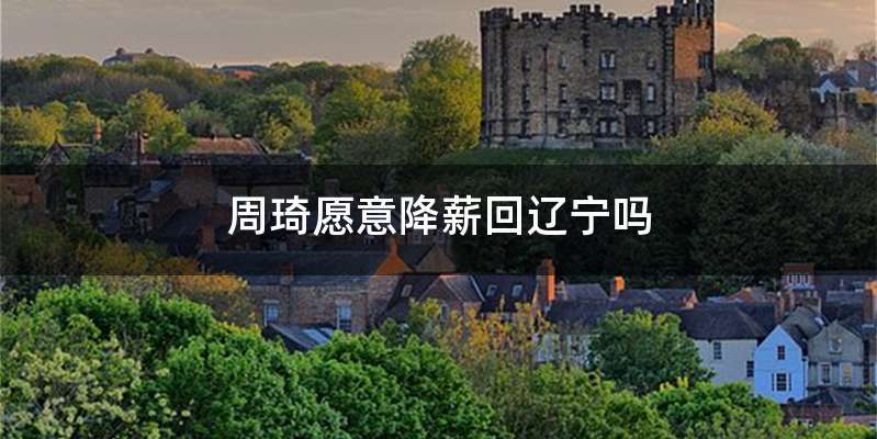 周琦愿意降薪回辽宁吗