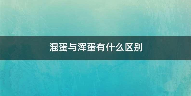 混蛋与浑蛋有什么区别