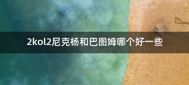 2kol2尼克杨和巴图姆哪个好一些