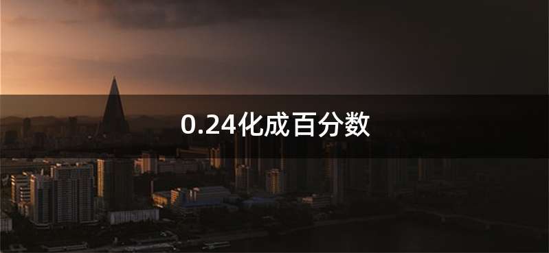0.24化成百分数