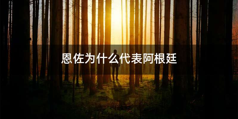 恩佐为什么代表阿根廷