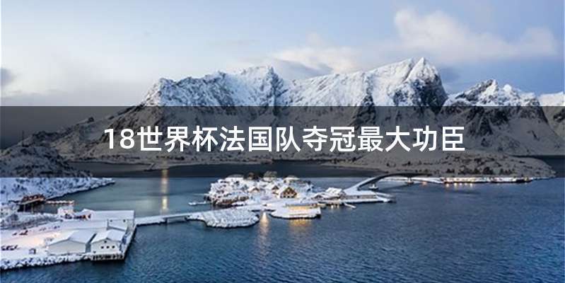 18世界杯法国队夺冠最大功臣