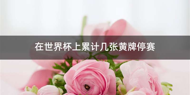 在世界杯上累计几张黄牌停赛