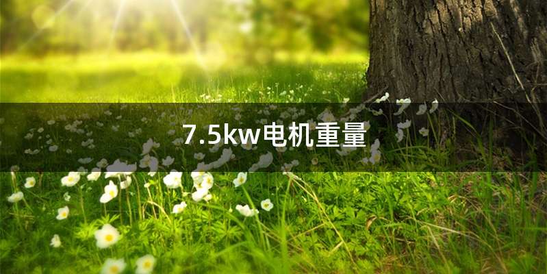 7.5kw电机重量