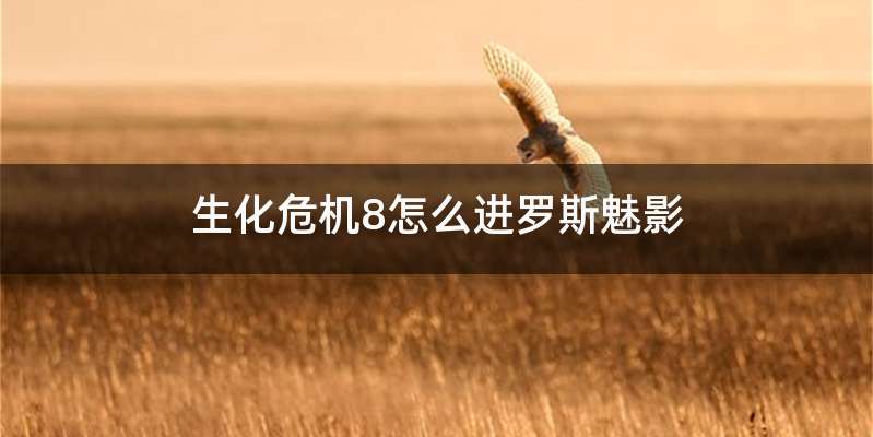 生化危机8怎么进罗斯魅影