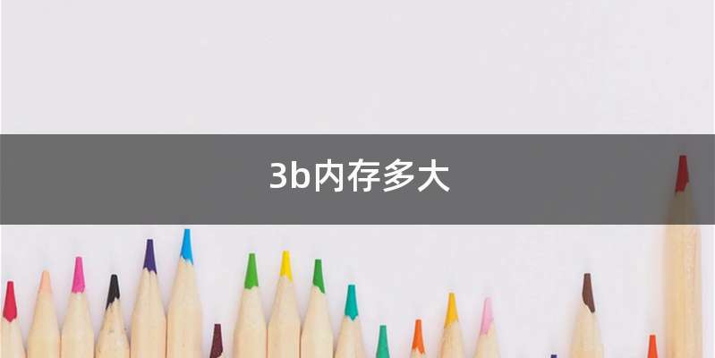 3b内存多大
