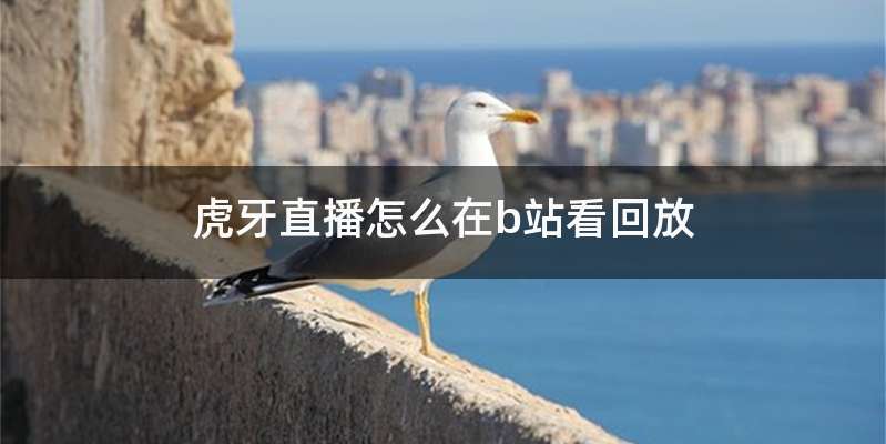 虎牙直播怎么在b站看回放