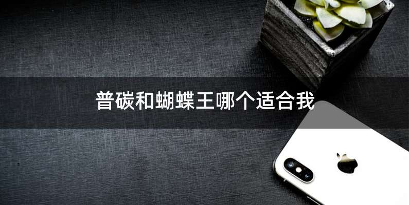 普碳和蝴蝶王哪个适合我