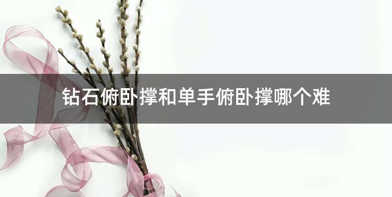 钻石俯卧撑和单手俯卧撑哪个难