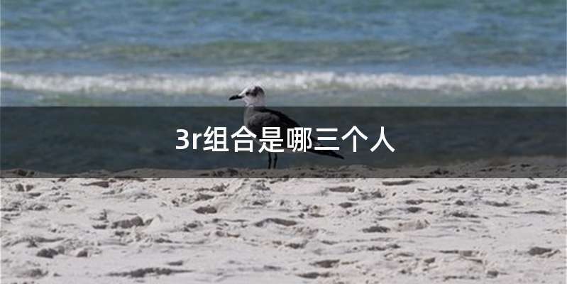 3r组合是哪三个人