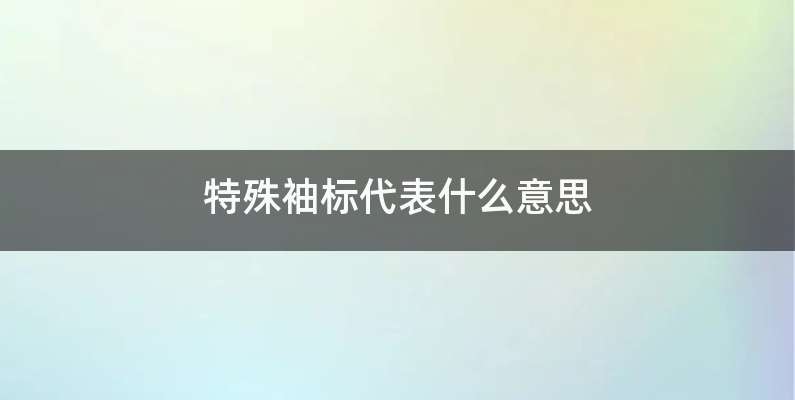 特殊袖标代表什么意思
