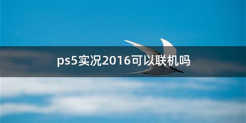 ps5实况2016可以联机吗
