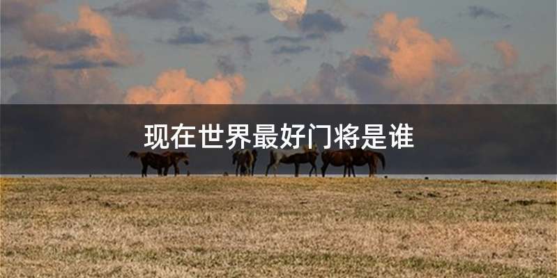 现在世界最好门将是谁