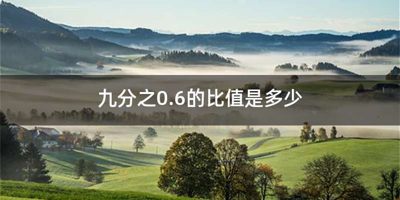 九分之0.6的比值是多少