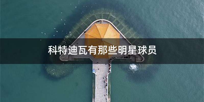 科特迪瓦有那些明星球员