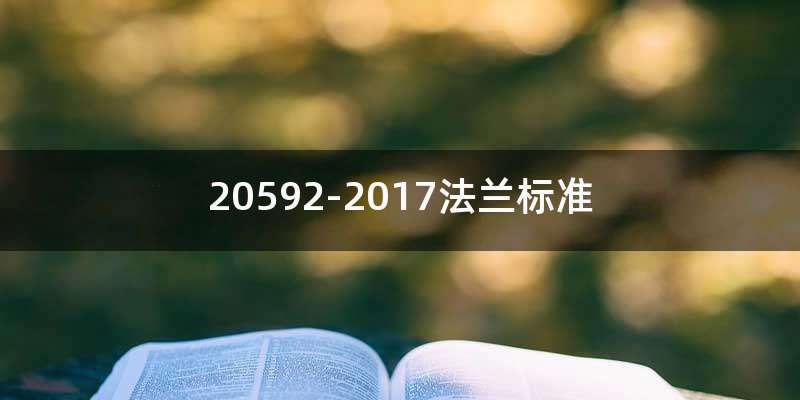 20592-2017法兰标准