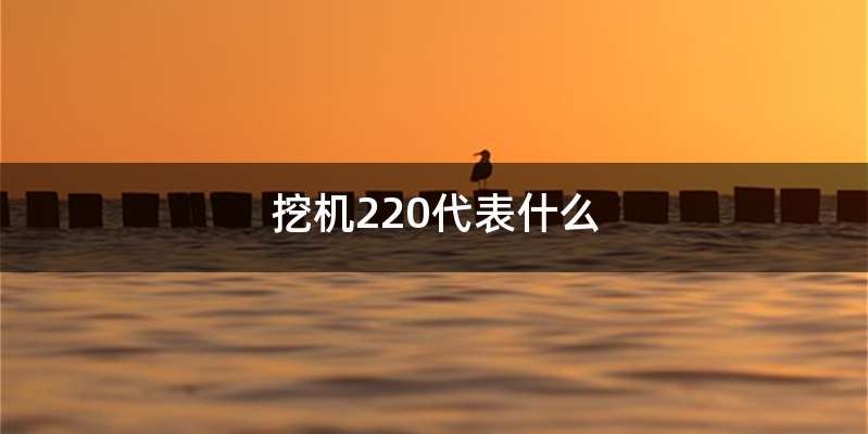 挖机220代表什么