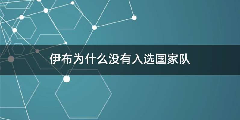 伊布为什么没有入选国家队