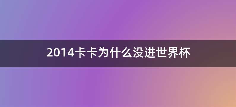 2014卡卡为什么没进世界杯