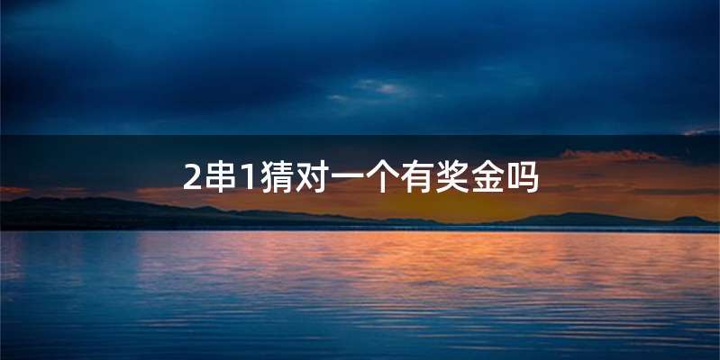 2串1猜对一个有奖金吗